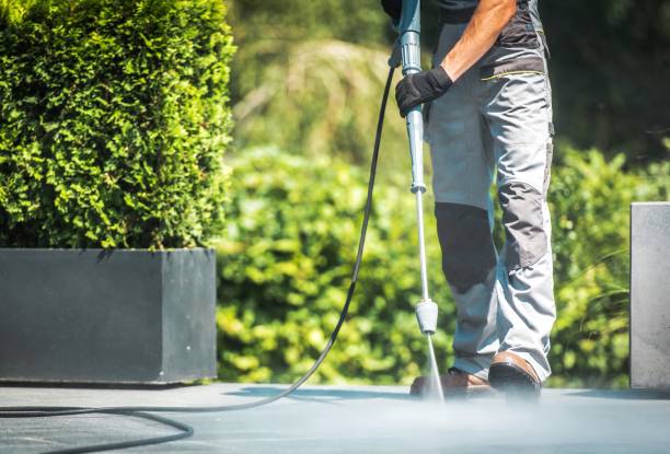 Best Driveway Cleaning and Restoration in Dana, NC