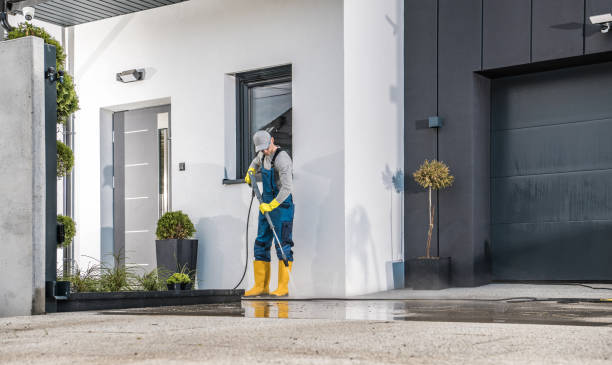 Best Roof Cleaning and Mildew Removal in Dana, NC